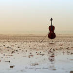 cello on the beach by nnoik