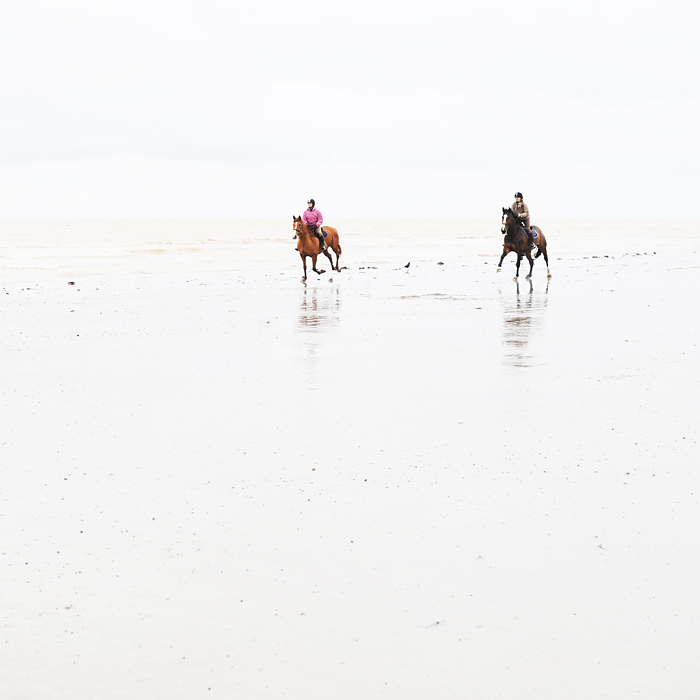 Seaside gallop