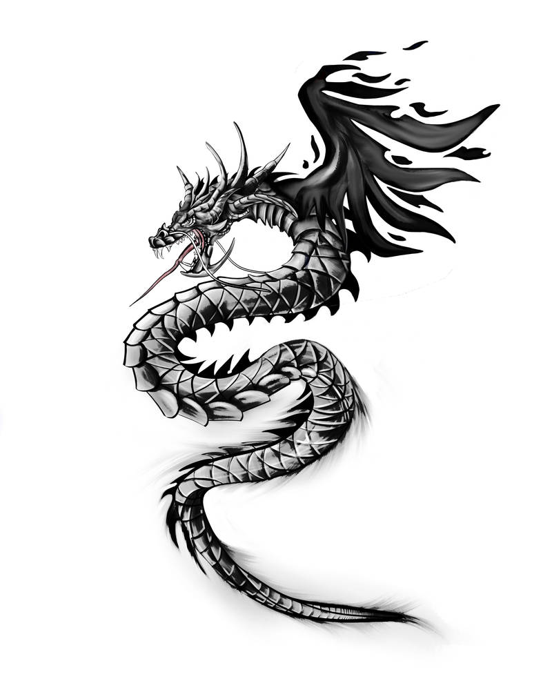 Custom Dragon Drawing Custom Dragon Design by 21V on DeviantArt