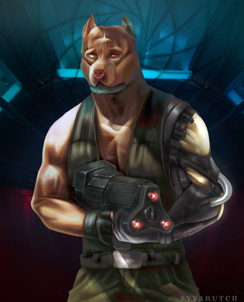 Java, pitbull by Kingtrovert on DeviantArt