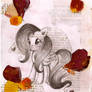 fluttershy . petals 1 .