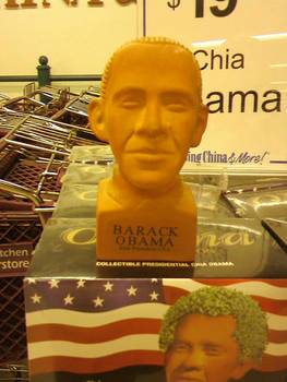 Obama...chia pet o.o