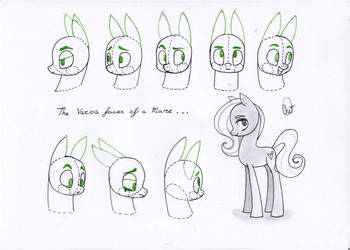 The many faces of a MARE