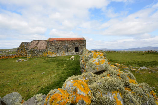 Berneray Farming