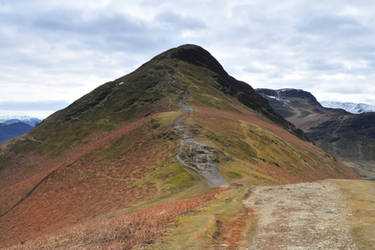 Catbells