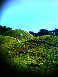 Living Roof