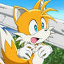 Tails the Fox