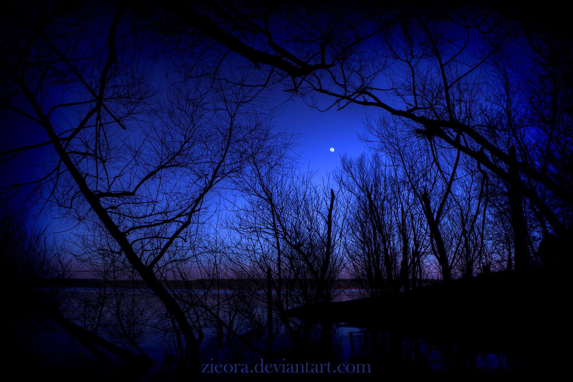 Blue and Purple Night at a Solitary Lake