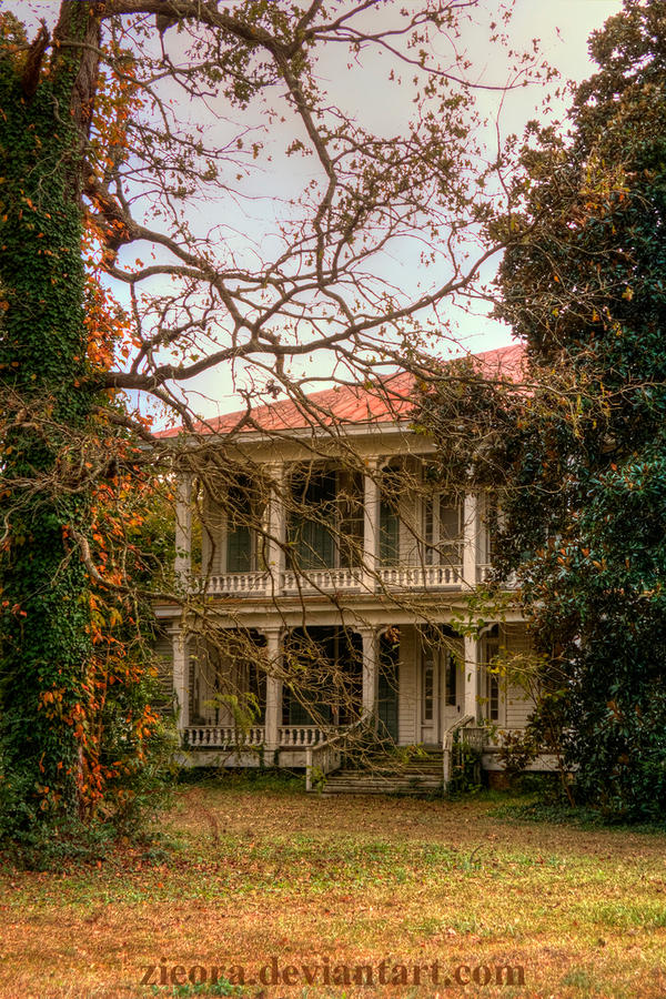 Abandoned Plantation