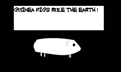 Guinea Pig