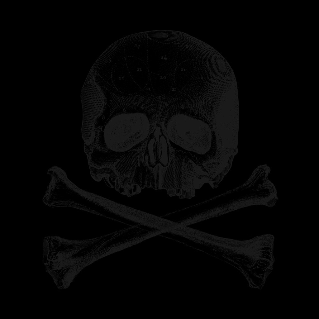 Img Header Skull 01