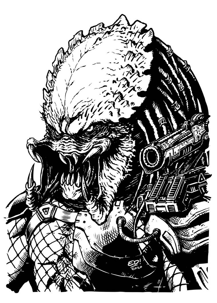 Predator Face Graphics Predator Face by Murd-Ed on DeviantArt