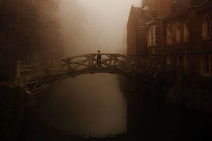 The Mathematical Bridge