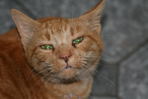 henry squinting