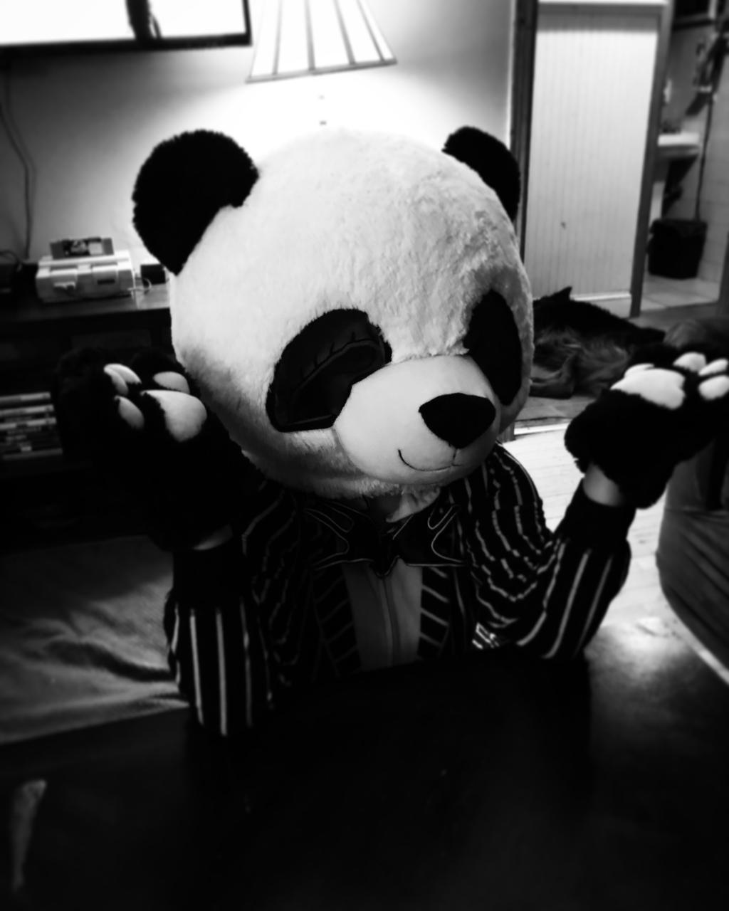 Furry ( cosplay ) panda bear / Jack skeleton by CreepyGothCosplayer on ...