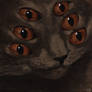 six-eyed cat