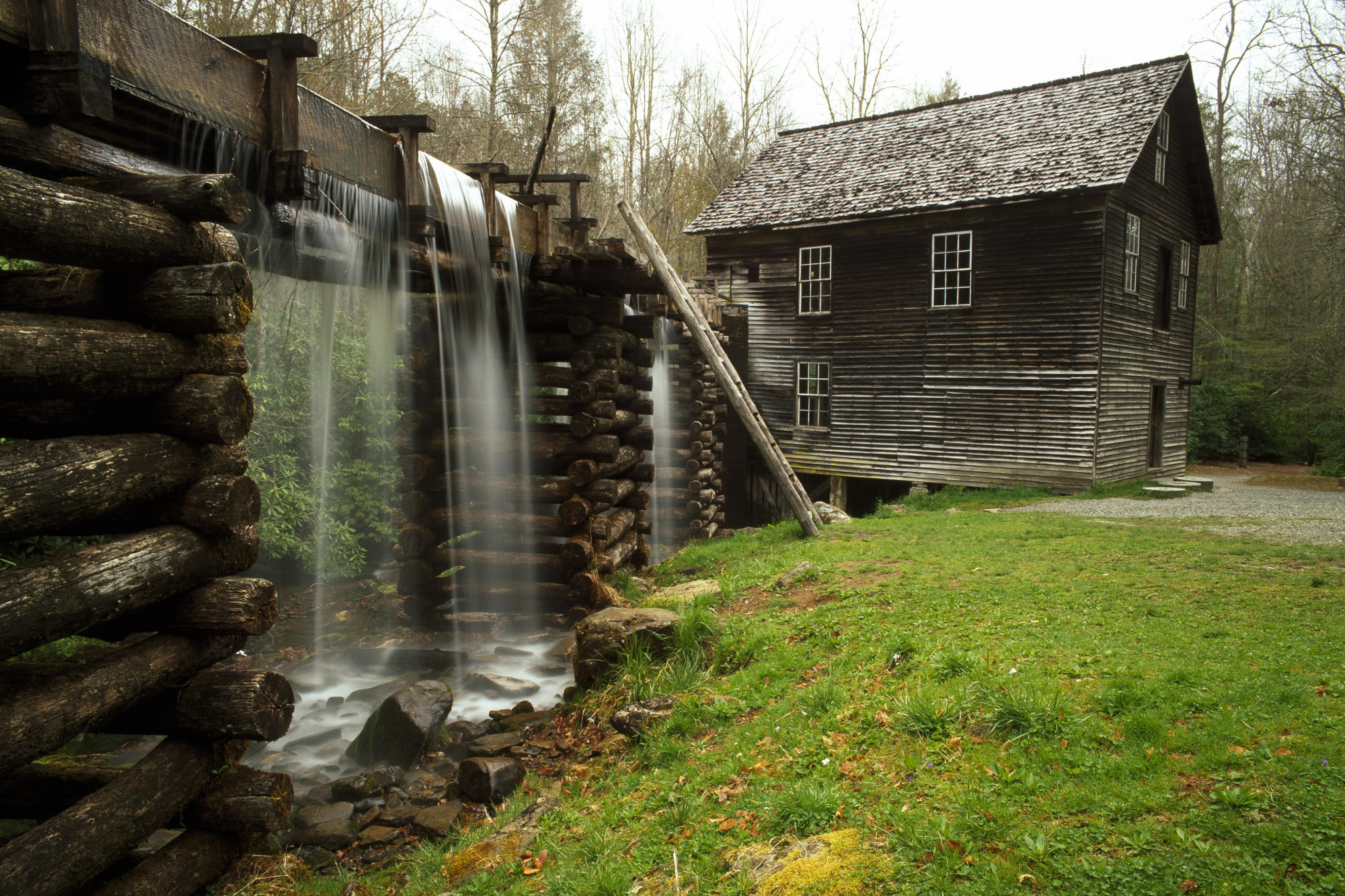 wood and water