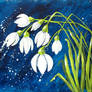 The first snowdrops