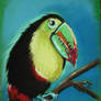 Toucan