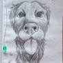 Hi, everybody))