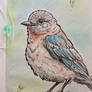 A bird on a tree stump
