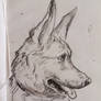 About dogs