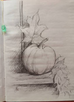 pencil drawing of a pumpkin