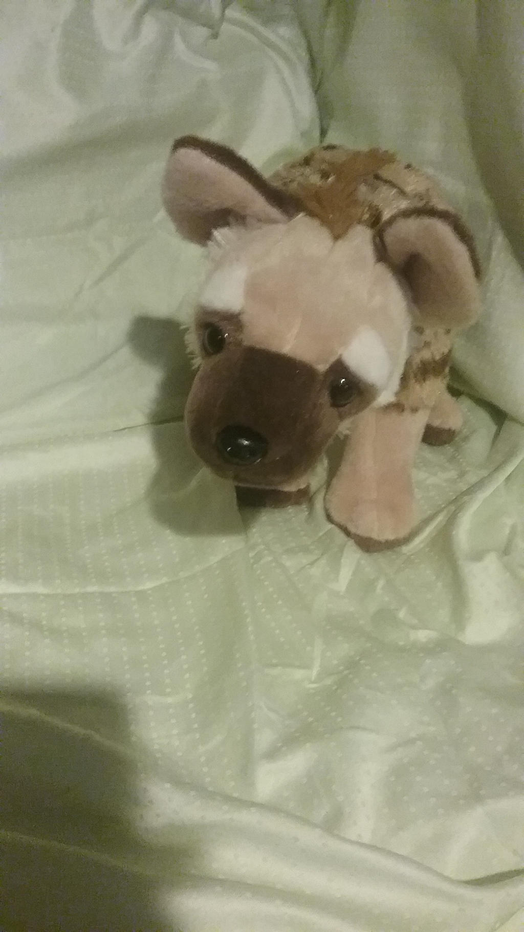my Spotted Hyena plush by UnicornLover2500 on DeviantArt