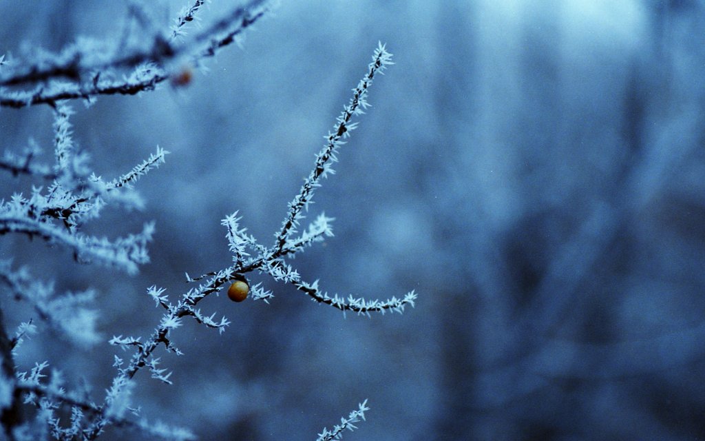 Frost Spikes II