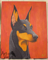 Doberman portrait