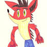 Crash Bandicoot