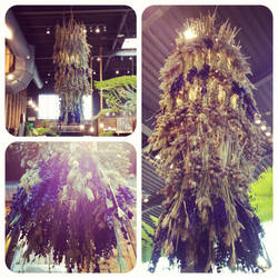 Dried Flower Chandelier