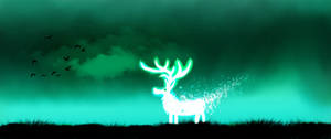 Deer In forest light