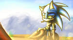 Cowboy Sonic by Charcoalhorse