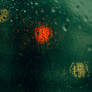 (yet another) Rain Against a Window