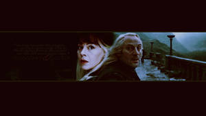 Narcissa and Lucius Malfoy