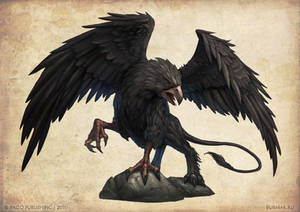 Black Griffon