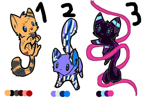 Cheap Cat Adoptables!