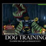 Dog Training