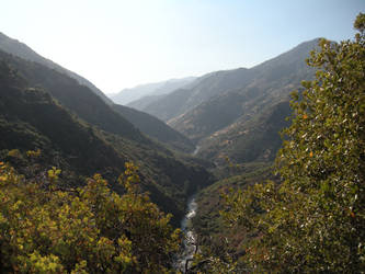 Sequoia National Park