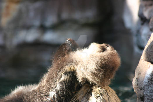 Baby Bath