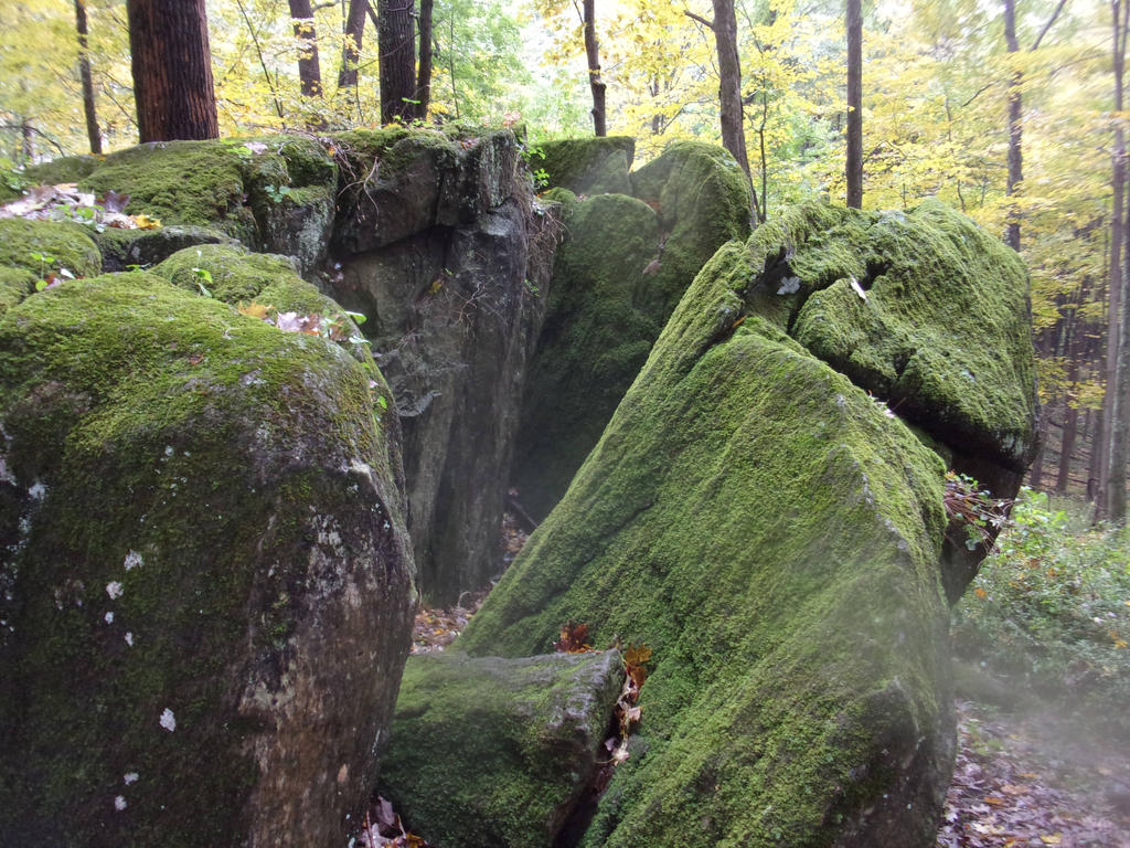 Mossy Rocks Fall Mossy Split Rocks by Trail-er on DeviantArt