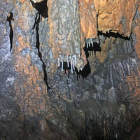 Multiple Soda Straws on One Stalactite