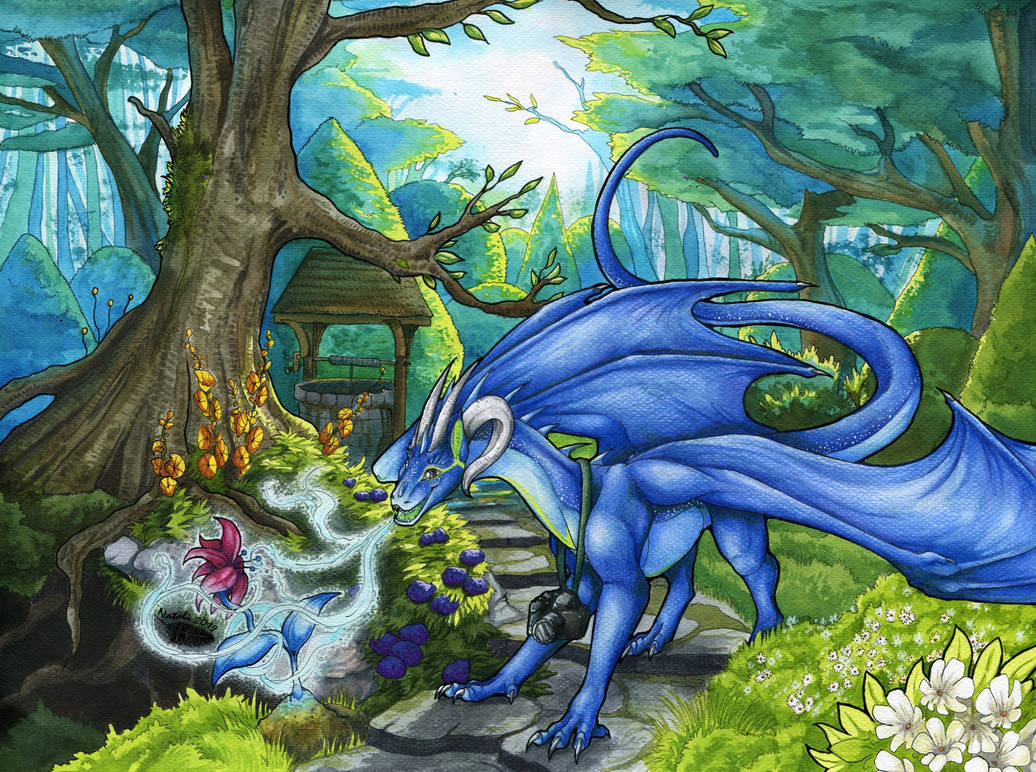 Magical garden by Natoli