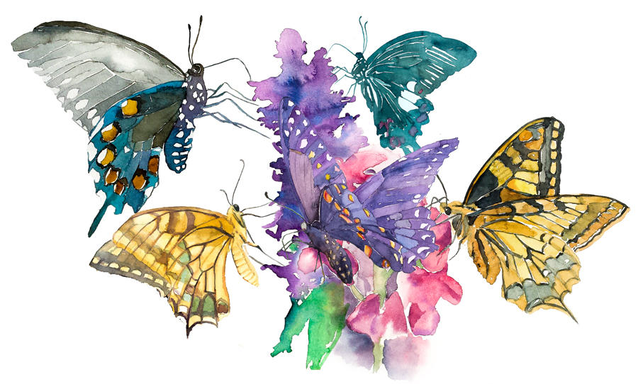 Butterflies#1 by PanRafik
