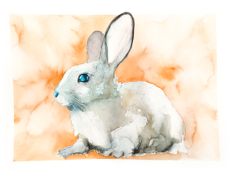 Bunny#13