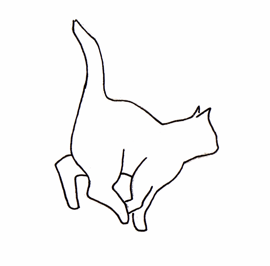 Chat Qui Court By Red Virus On Deviantart Chat Qui Court By Red Virus On Deviantart