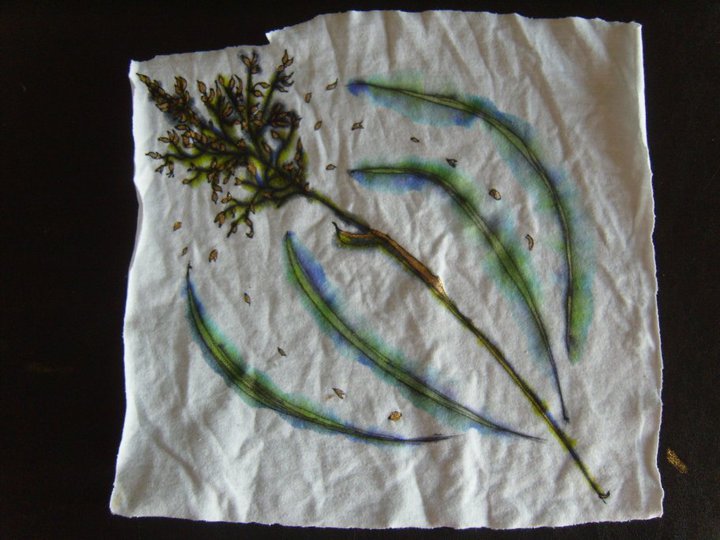 Grass sample