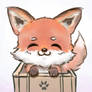 Fox in a Box