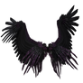 Dreamy Black Purple Wings